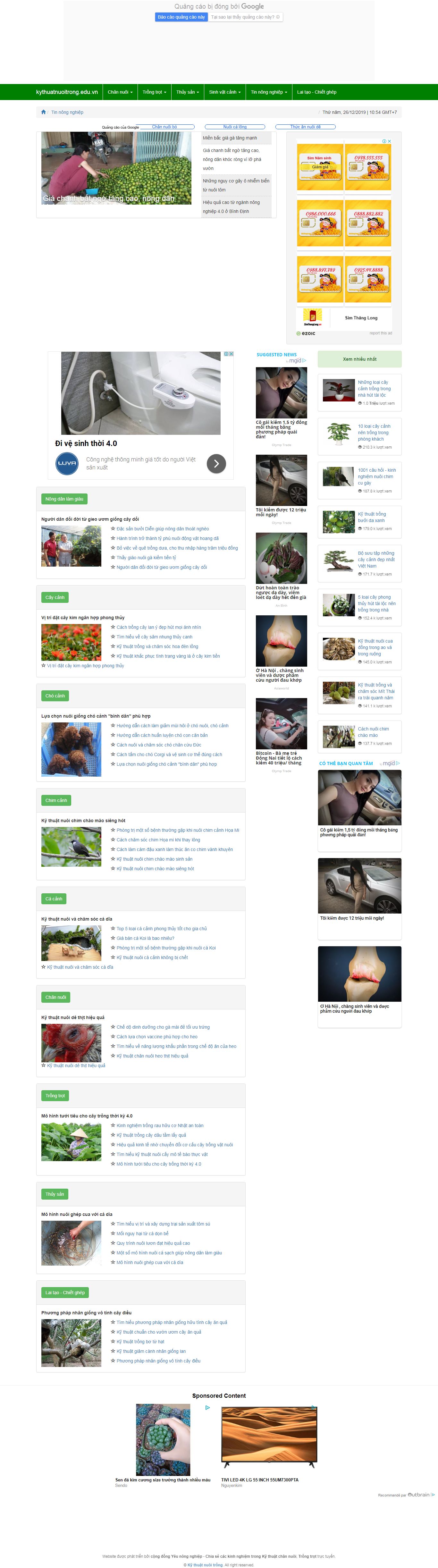 Thiết kế Web cây cảnh kythuatnuoitrong.edu.vn