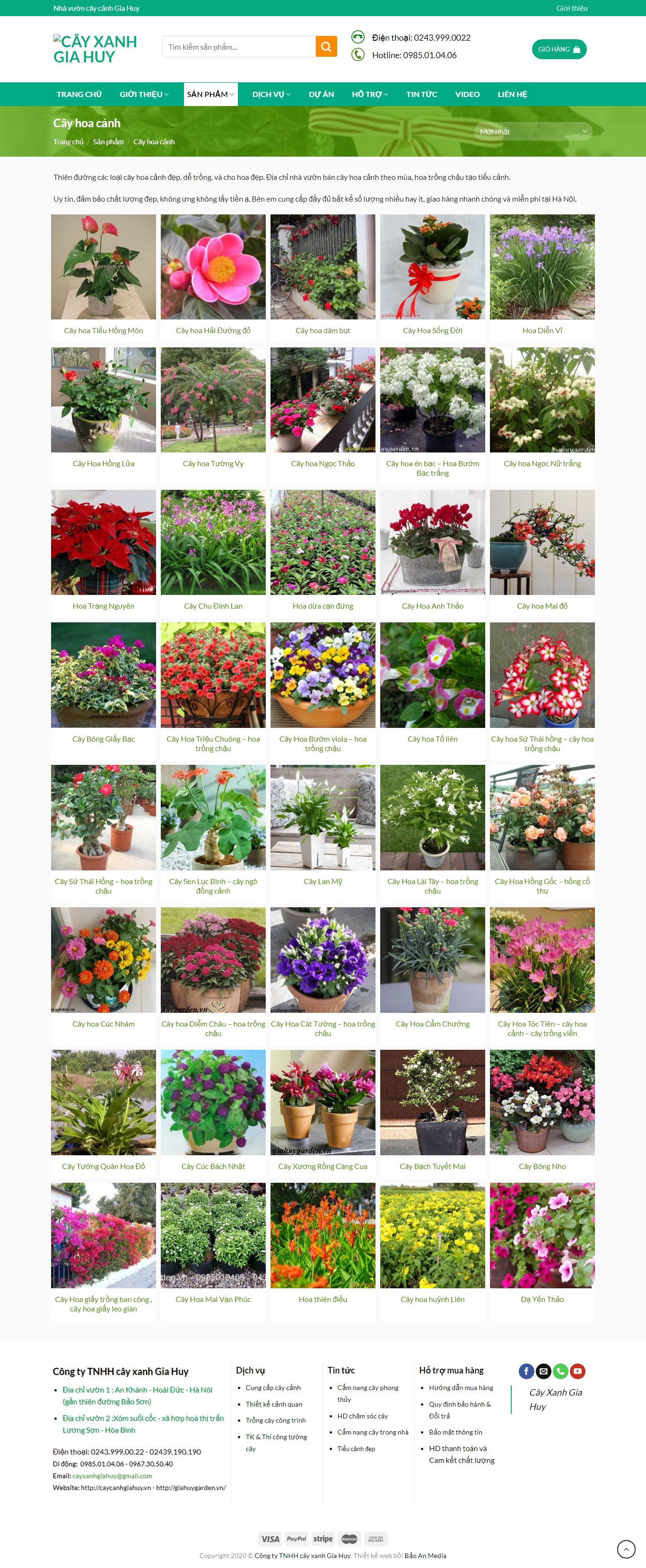 Thiết kế Web cây cảnh giahuygarden.vn
