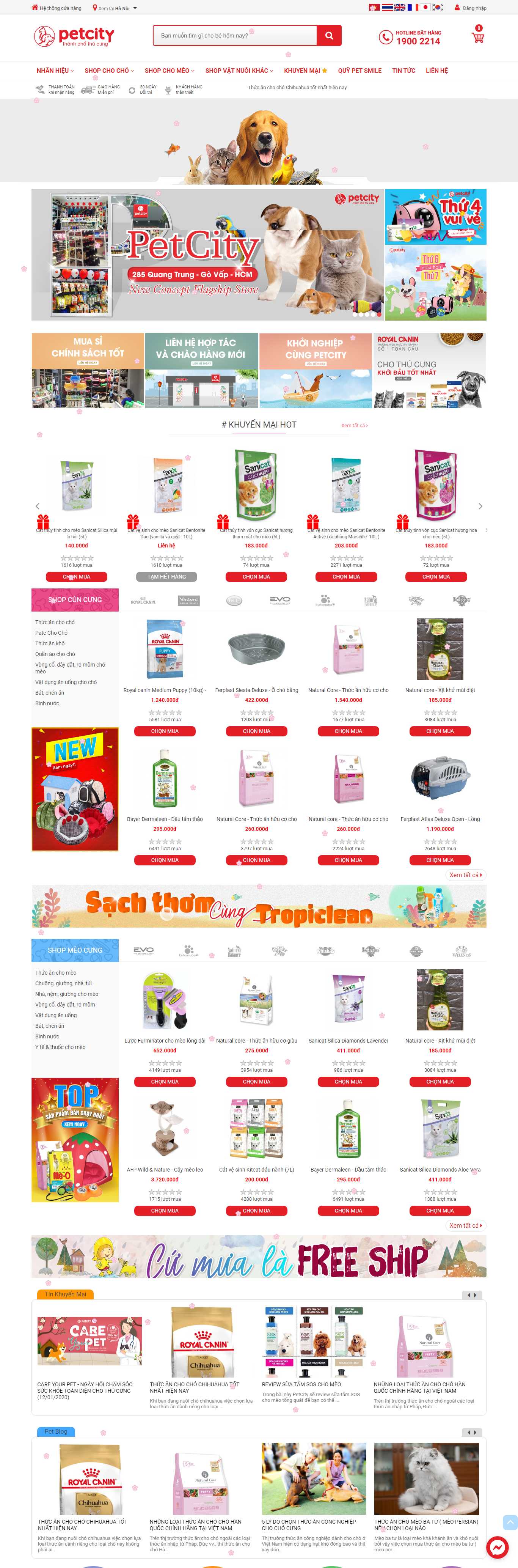 Thiết kế Web thú cưng petcity.vn