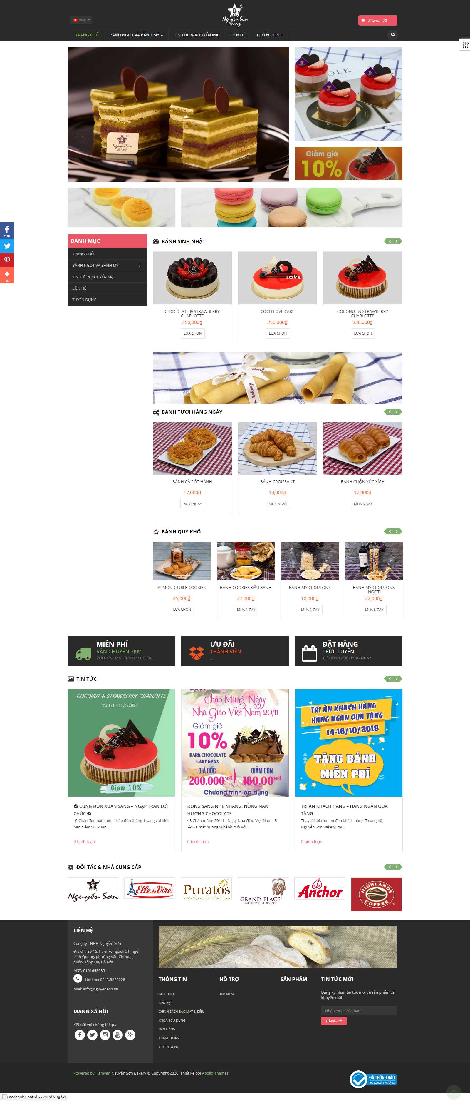 Thiết kế Web asp.net nguyenson.vn