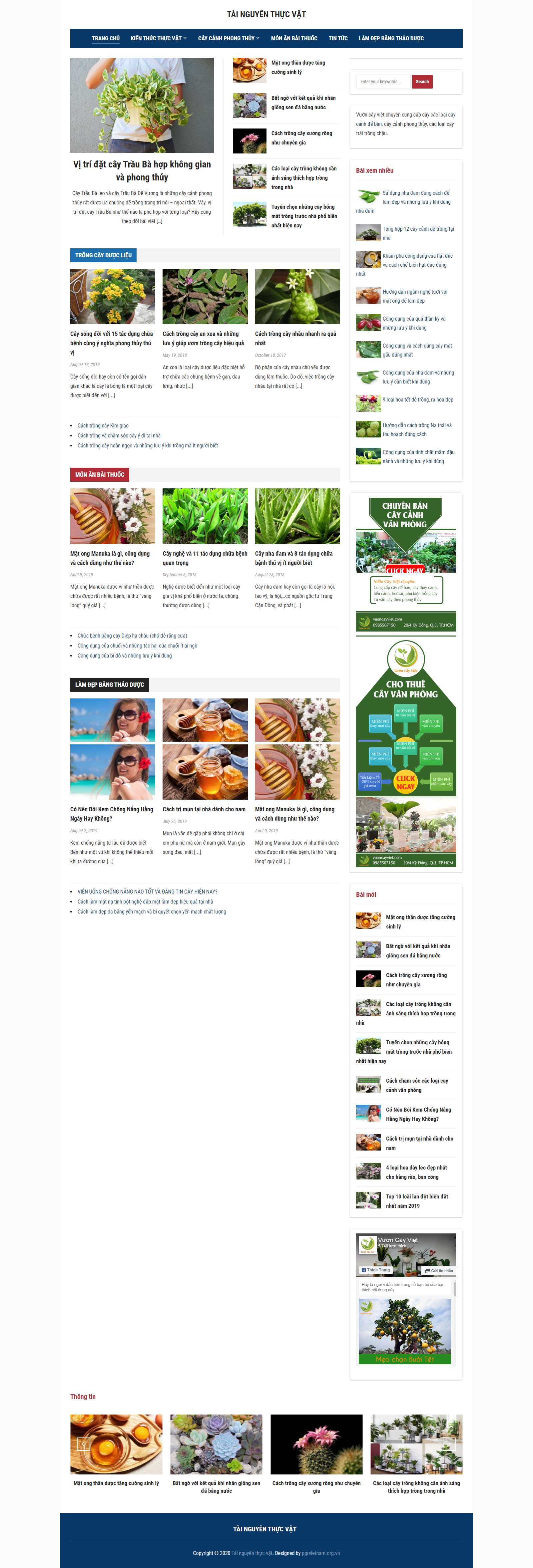 Thiết kế Web tối ưu seo pgrvietnam.org.vn