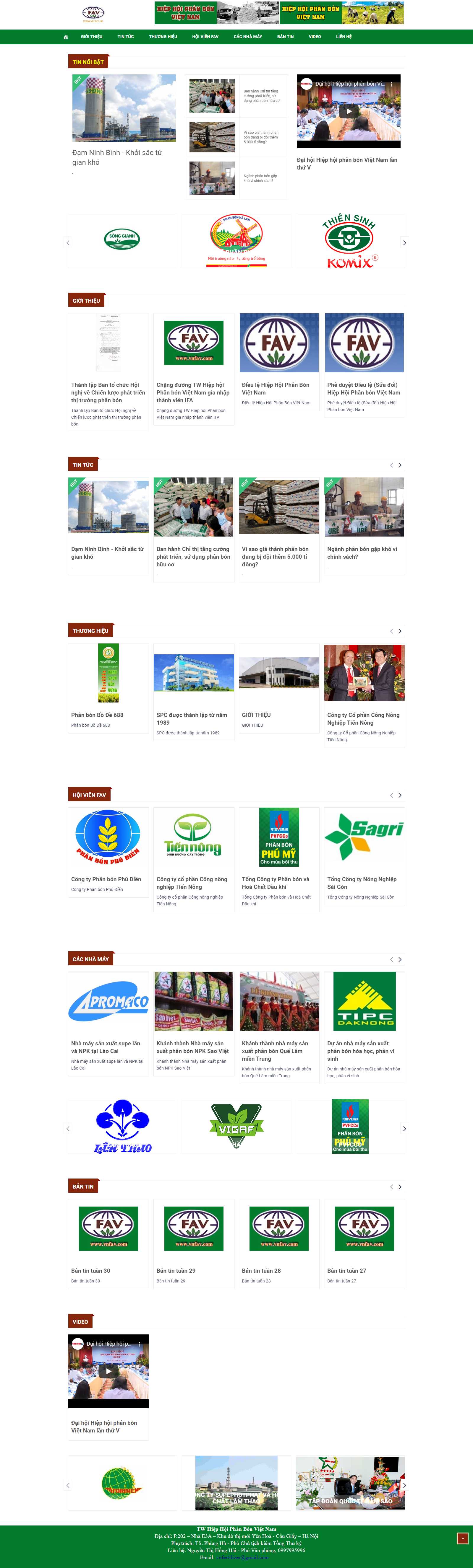 Thiết kế Web hà nội vnfav.com