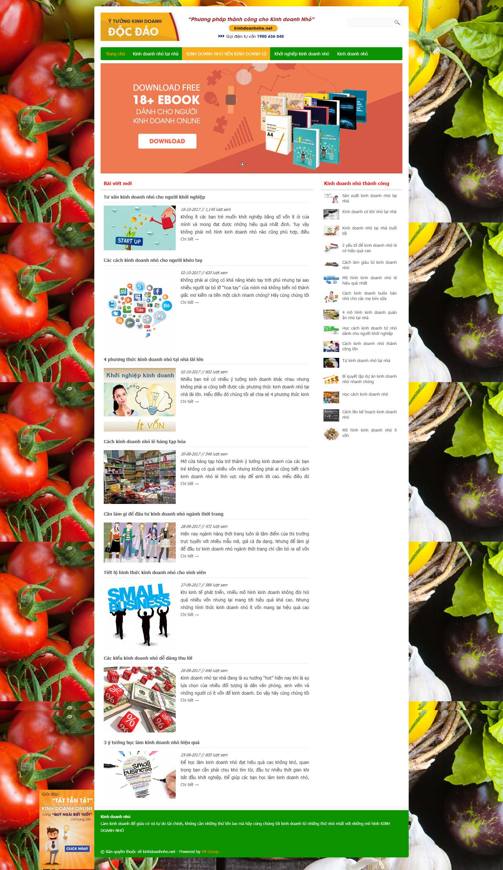 Thiết kế Web quảng bình kinhdoanhnho.net