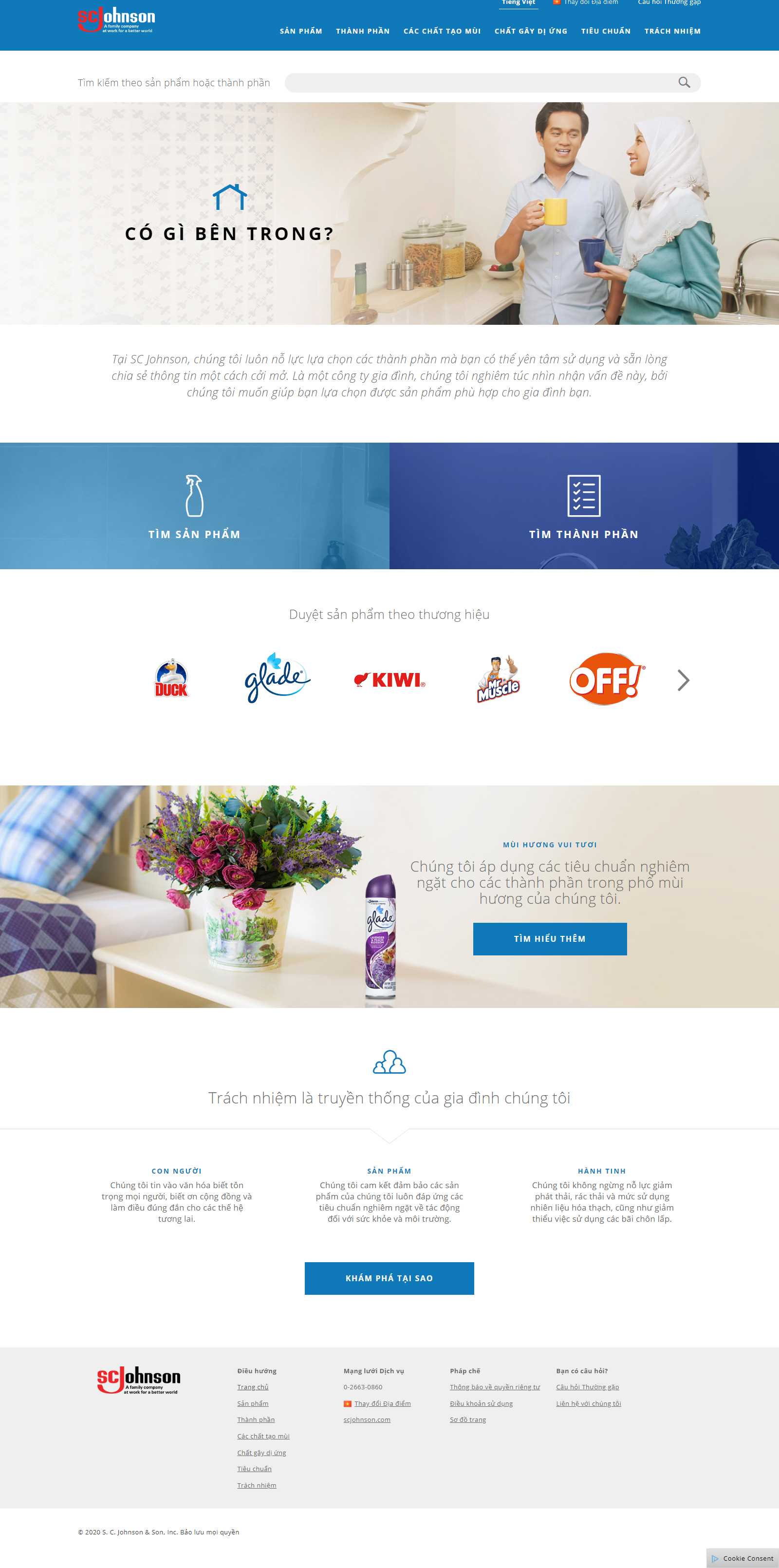 Thiết kế Web tây ninh whatsinsidescjohnson.com