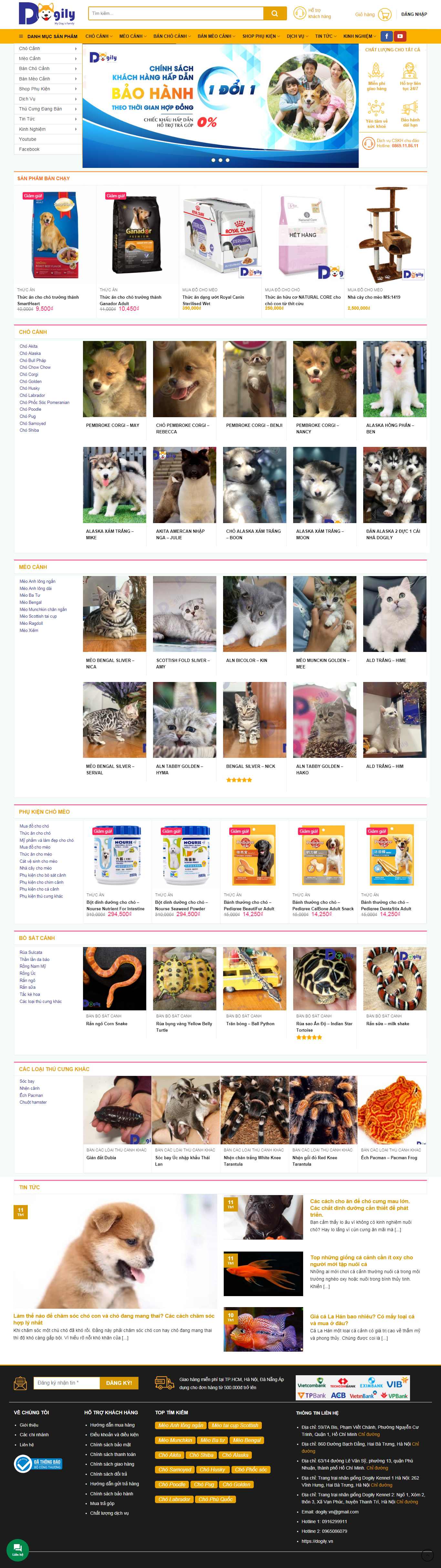 Thiết kế Web chuẩn seo giá rẻ dogily.vn