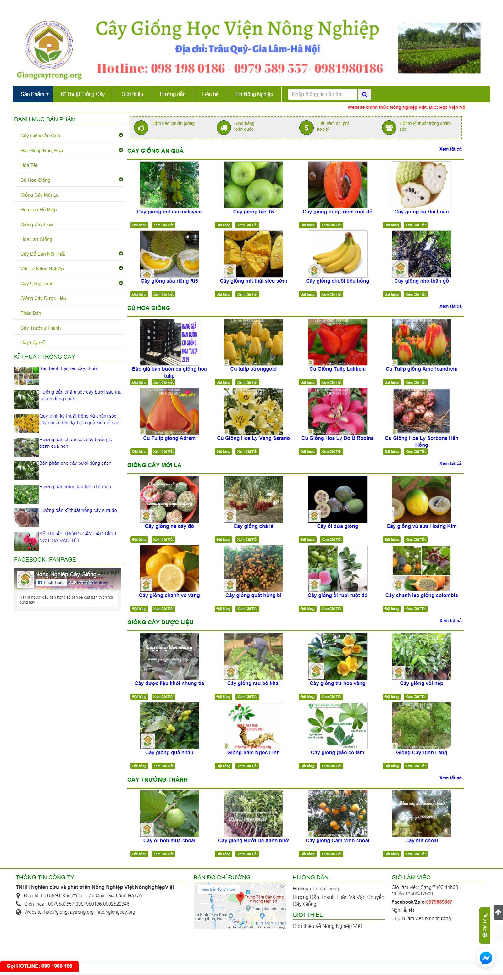 Thiết kế Web quận 1 giongcaytrong.org
