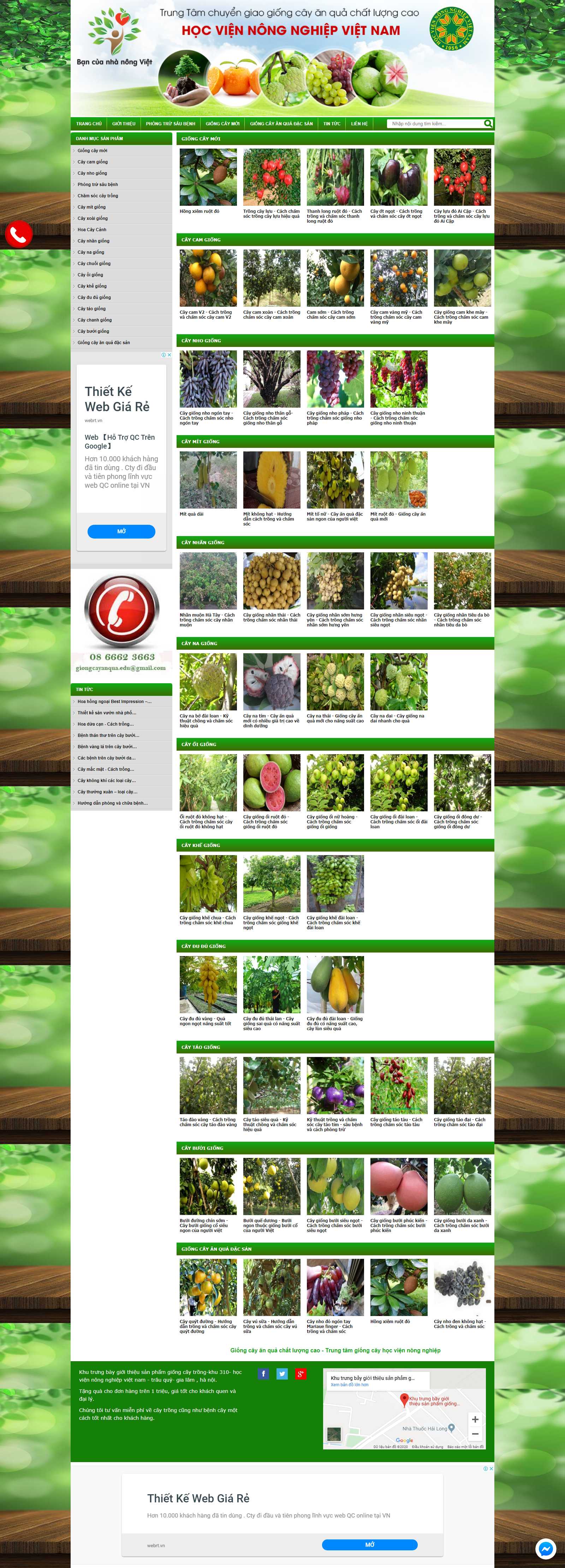 Thiết kế Web quận 2 giongcayanqua.edu.vn