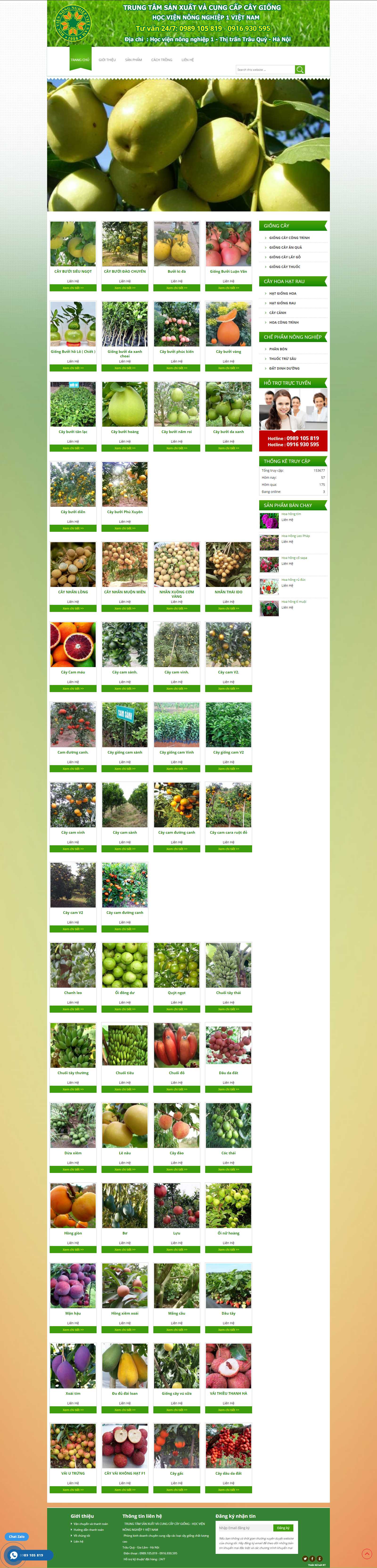 Thiết kế Web quận 3 trungtamgiongcayanqua.com