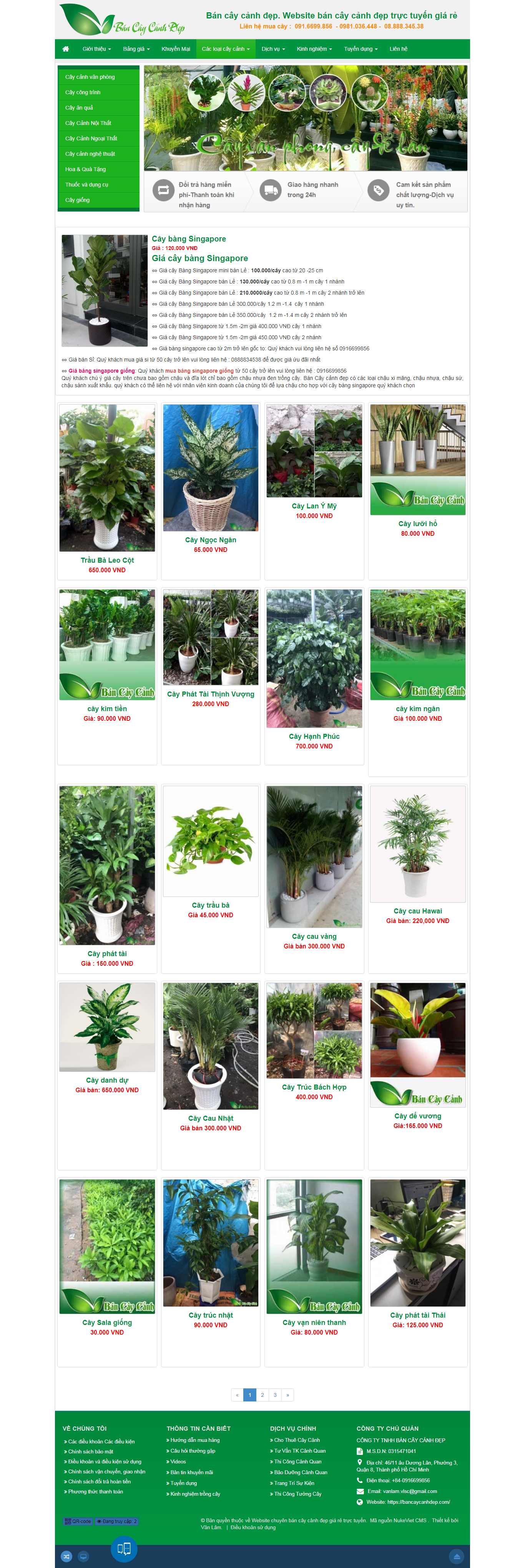 Thiết kế Web cây cảnh đẹp bancaycanhdep.com