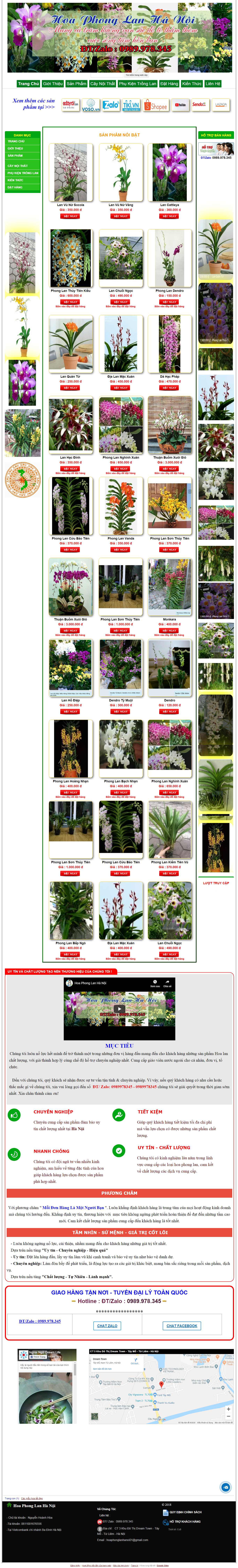Thiết kế Web bán cây cảnh trong nhà hoaphonglanhanoi.com
