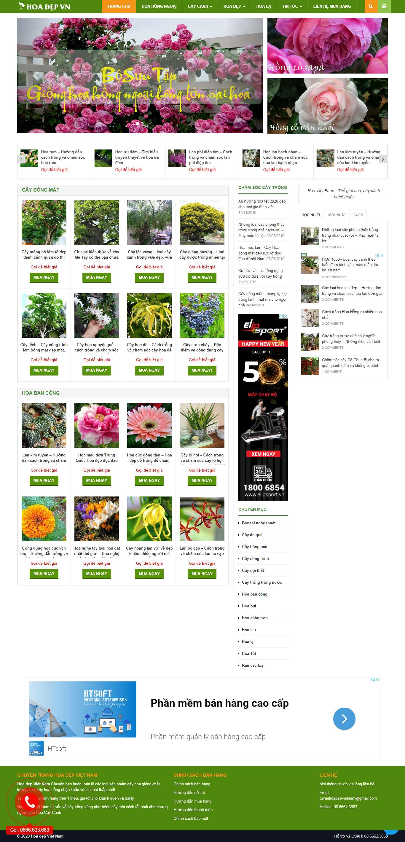 Thiết kế Web bán cây cảnh trong nhà hoadepviet.com