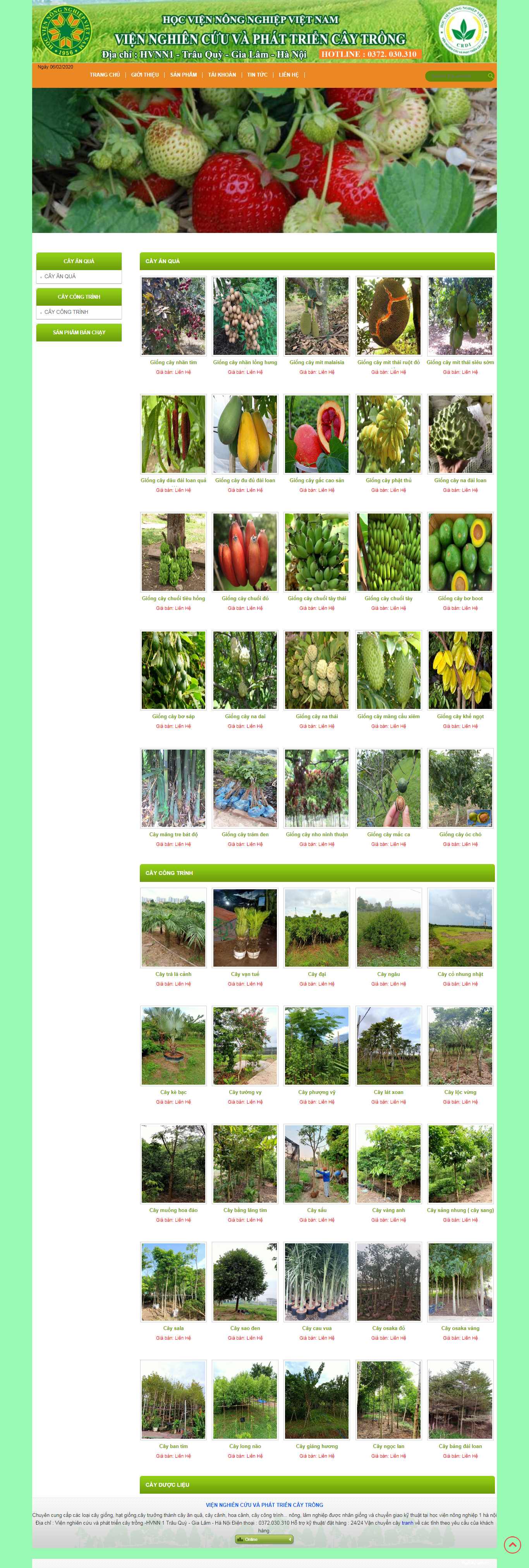 Thiết kế Web giống cây trồng viennghiencuucaygiong.com