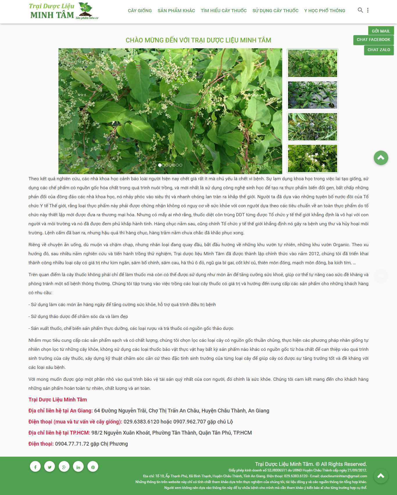 Thiết kế Web giống cây trồng caythuocminhtam.com