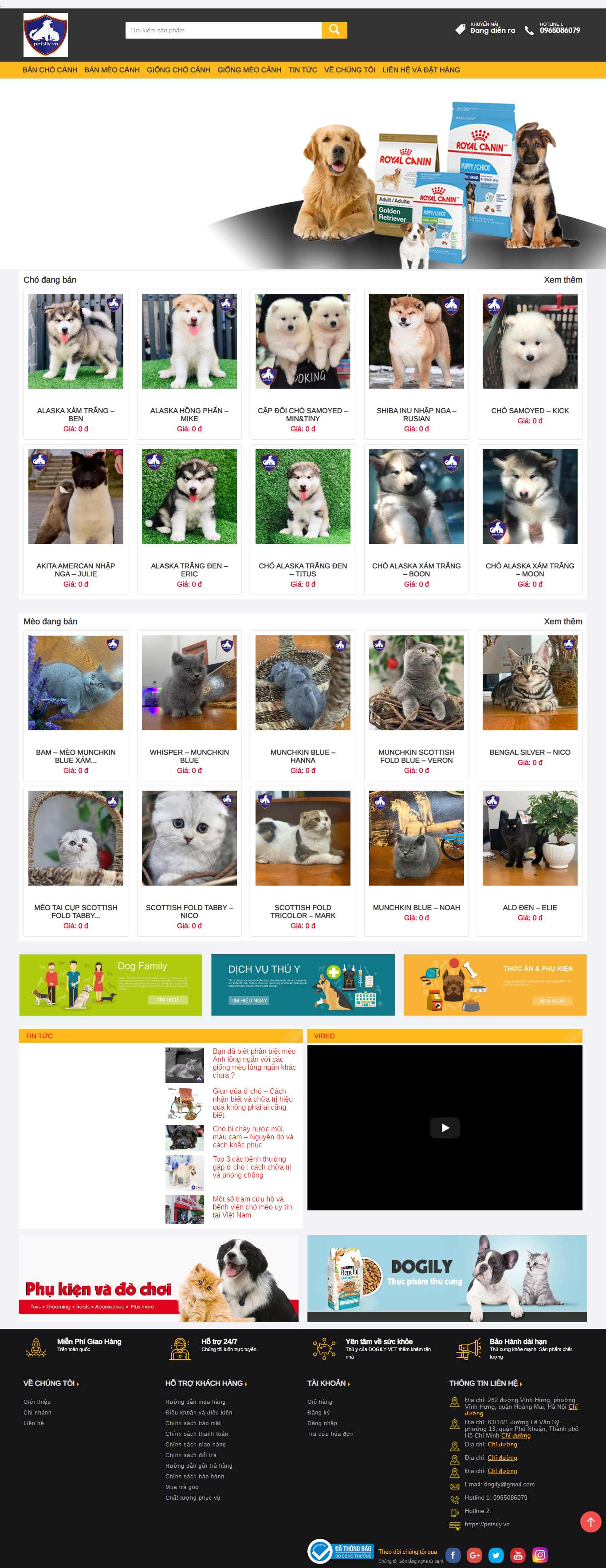 Thiết kế Web thú cưng petsily.vn