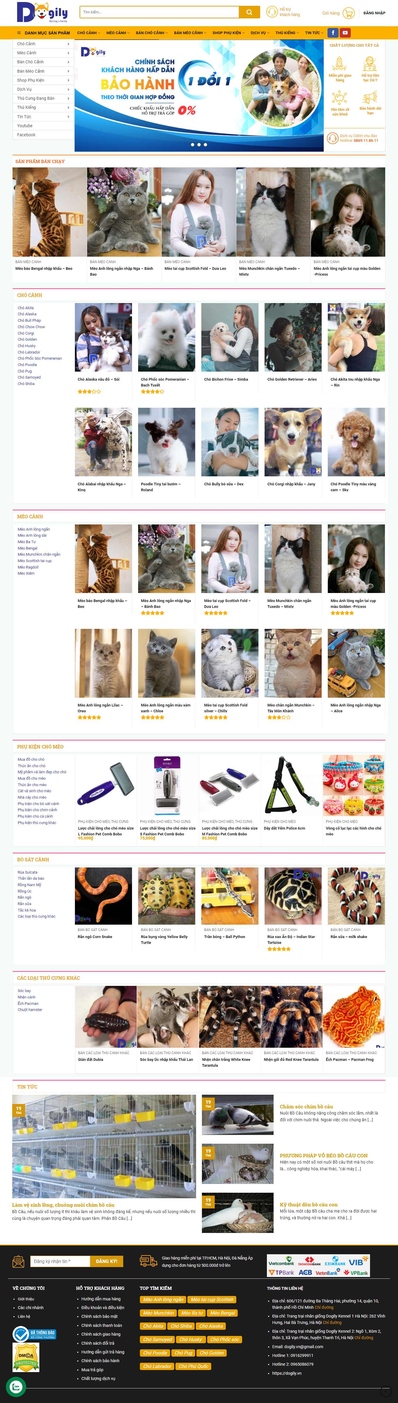 Thiết kế Web thú cưng dogily.vn