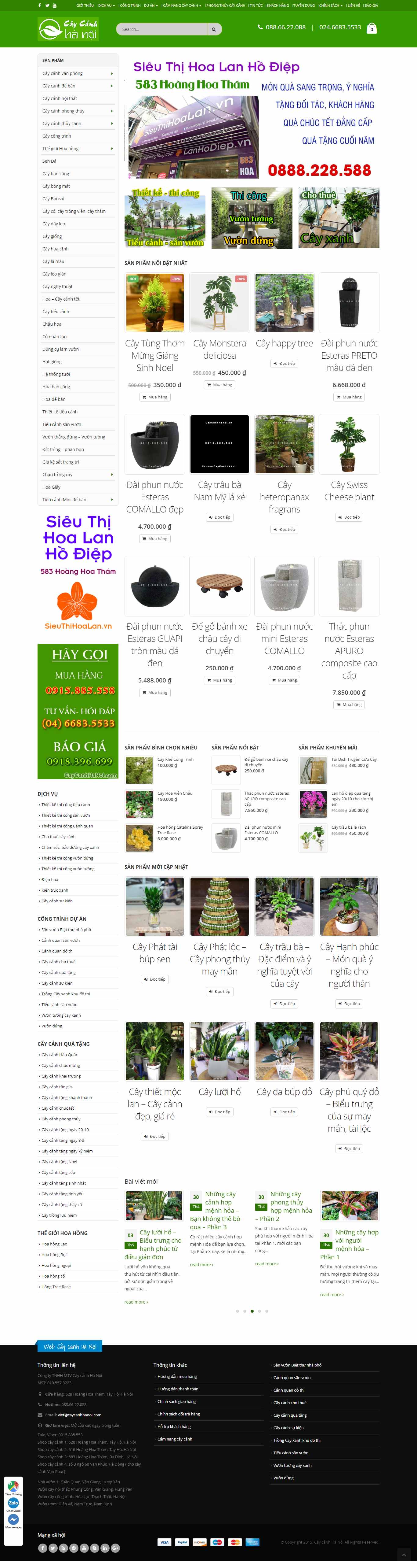 Thiết kế Web cà mau caycanhhanoi.vn