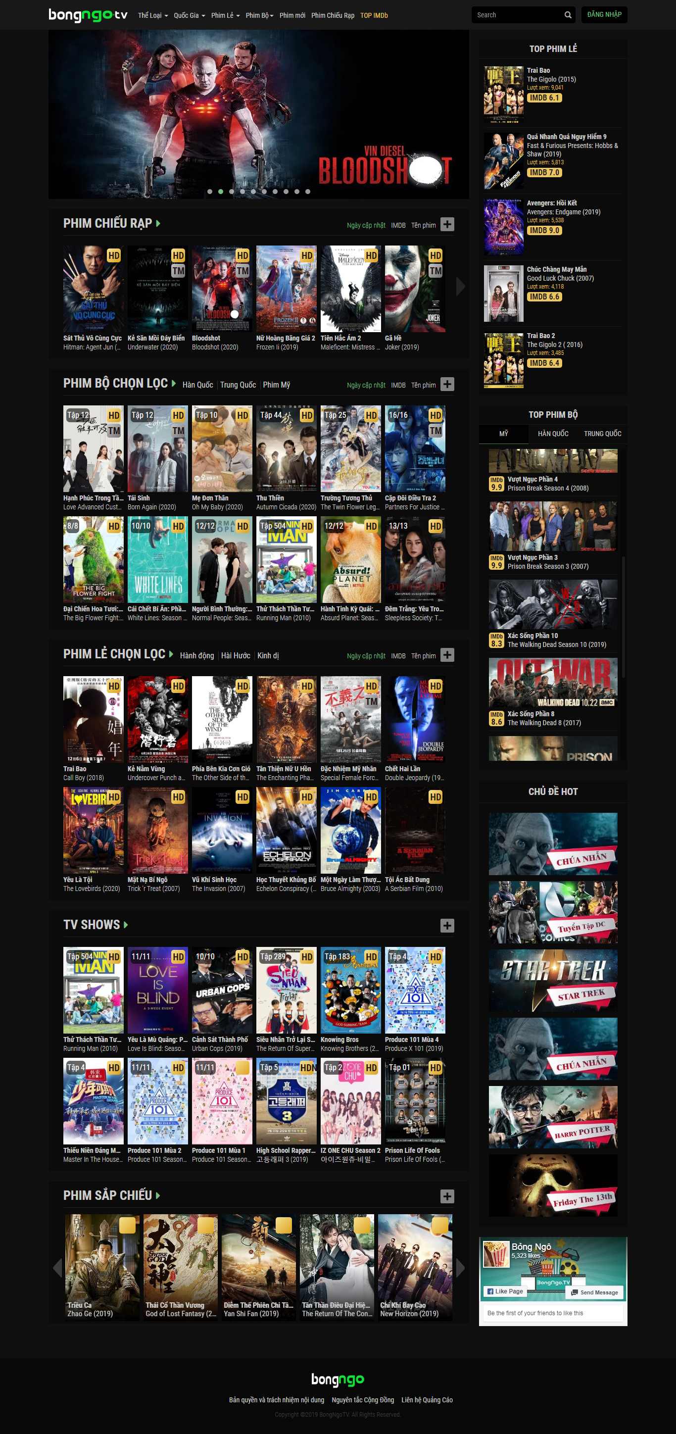 Thiết kế Web điện ảnh - nhạc - họa bongngo.tv