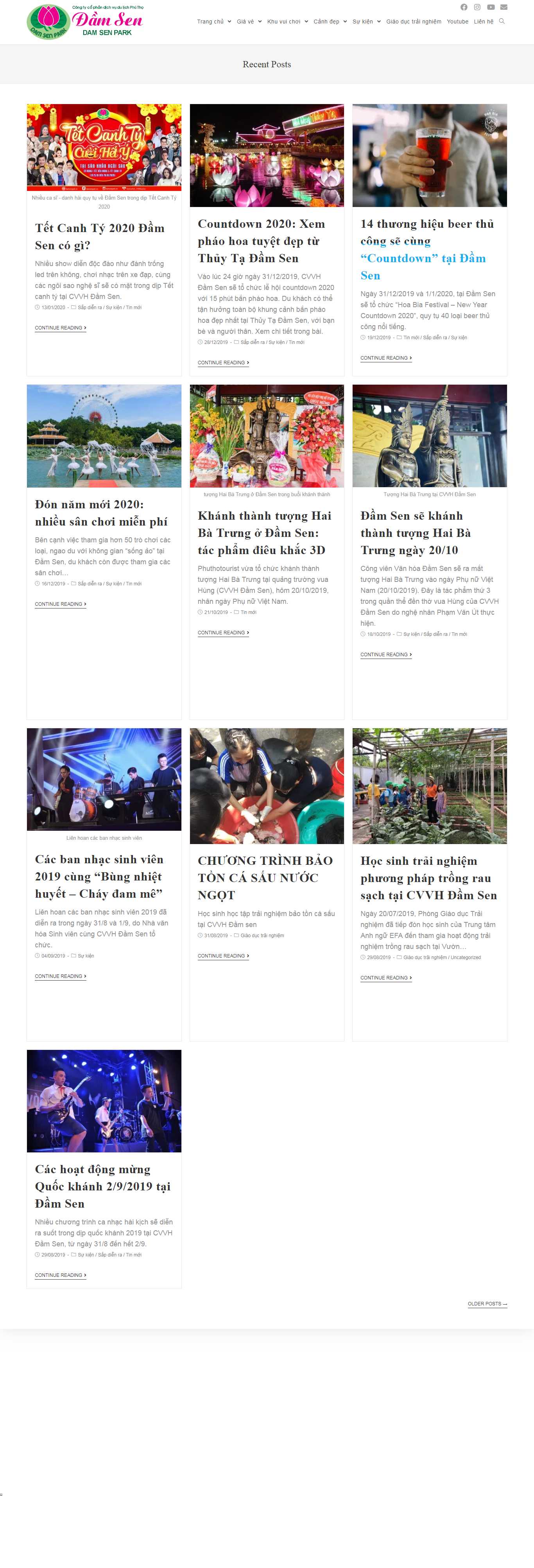 Thiết kế Web khu vui chơi damsenpark.vn