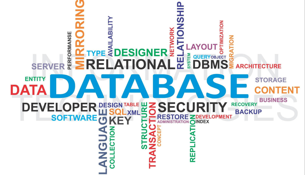 Database là gì? Những ý nghĩa của Database