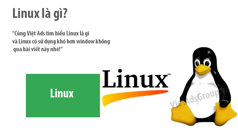 Linux là gì và Linux có sử dụng khó hơn window không?