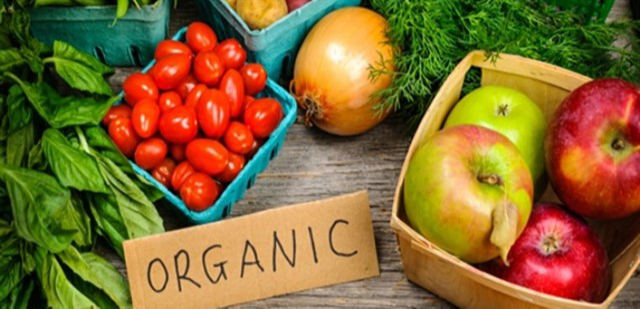 Organic là gì? Thực phẩm, Mỹ phẩm, Lối sống Organic là gì?