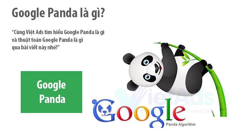 Google Panda là gì và thuật toán Google Panda bạn chưa biết?