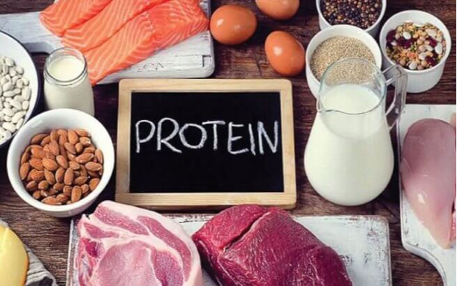 Protein là gì? Vai trò của Protein đối với cơ thể?