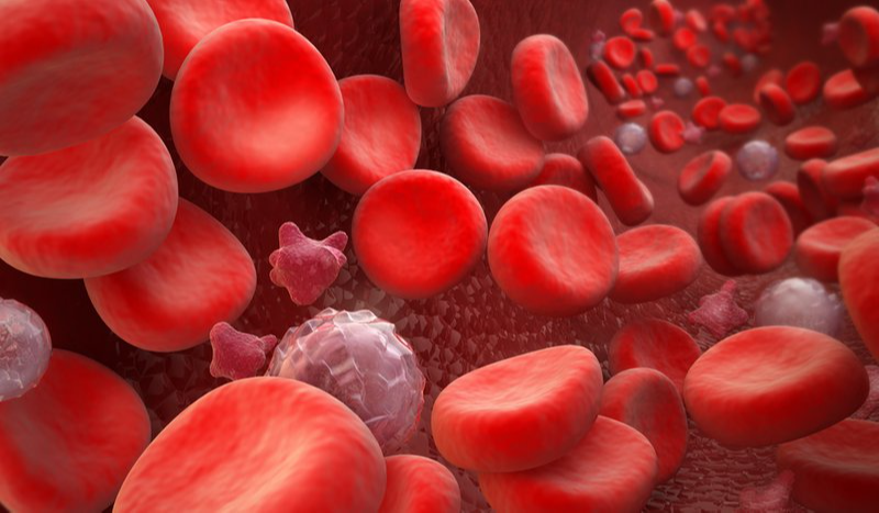 Hồng cầu là gì? Tổng hợp thông tin cơ bản về hồng cầu trong máu