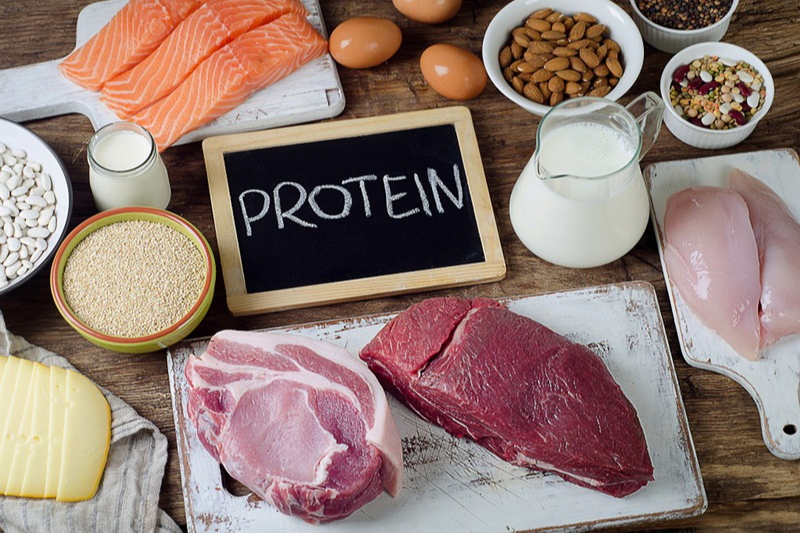 Protein là gì? Nên sử dụng Protein động vật hay thực vật?