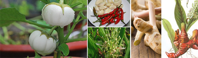 3 bước với cách muối cà pháo ngon, muối xổi giòn không bị thâm