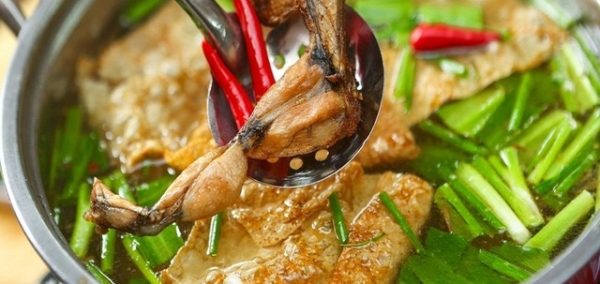 Cách nấu lẩu ếch măng chua đậm đà hấp dẫn