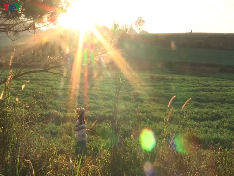 Sơn La: Du lịch Mộc Châu hút khách trở lại sau dịch Covid-19