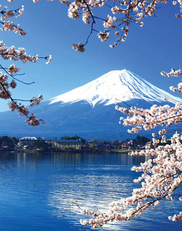 Bí quyết để có một chuyến du lịch hè hoàn hảo