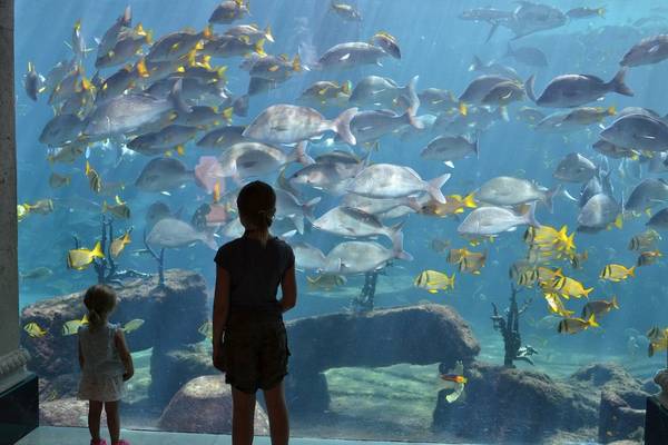 10 bức ảnh chứng minh du lịch là môi trường giáo dục tốt nhất