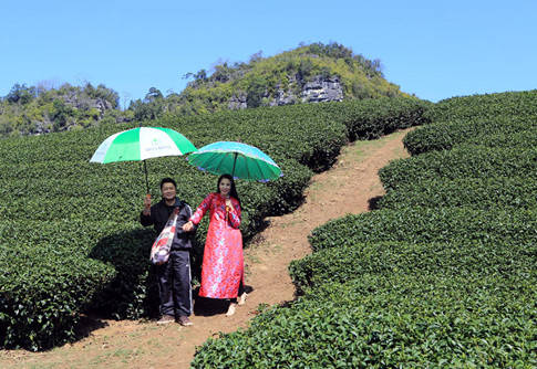 Hành trình thú vị với trải nghiệm lái xe châu Âu và châu Á