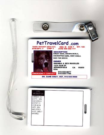 Kinh nghiệm đi du lịch cùng thú cưng