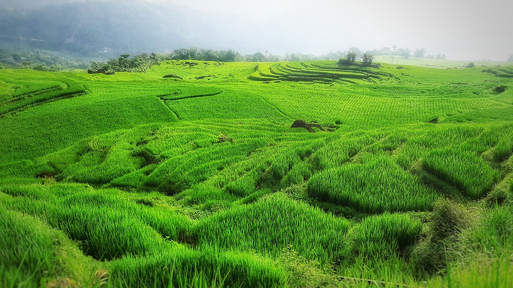 Ngỡ ngàng vẻ đẹp núi rừng Pù Luông