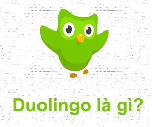 Duolingo là gì và đăng ký học trên Duolingo tại đâu?