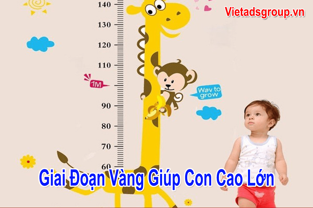 Giai Đoạn Vàng Giúp Con Cao Lớn