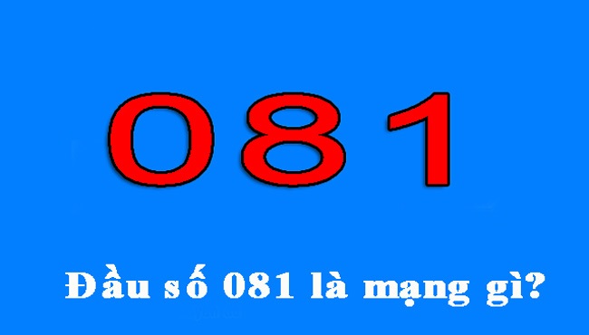 081 là mạng gì? Khám phá ngay ý nghĩa của đầu số 081
