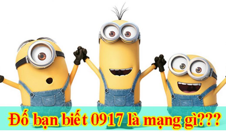 0917 là mạng gì? Mua sim đầu số 0917 ở đâu giá rẻ uy tín