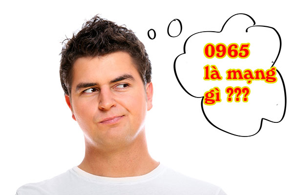 0965 l&agrave; mạng g&igrave;? Kh&aacute;m ph&aacute; &yacute; nghĩa đặc biệt đầu số 0965