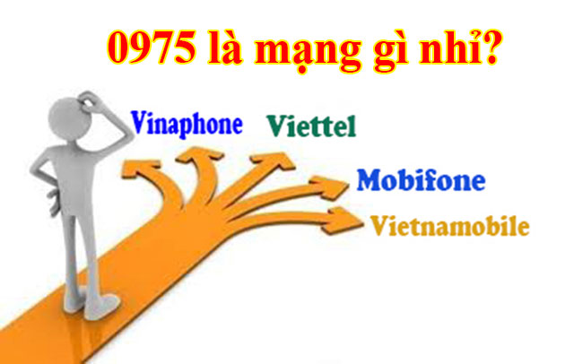 Đầu số 0975 là mạng gì? Cách chọn sim số đẹp 0975 ở đâu?