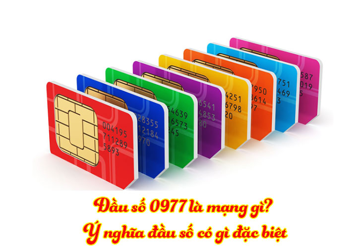 0977 là mạng gì? Đi tìm câu trả lời chính xác về đầu số 0977