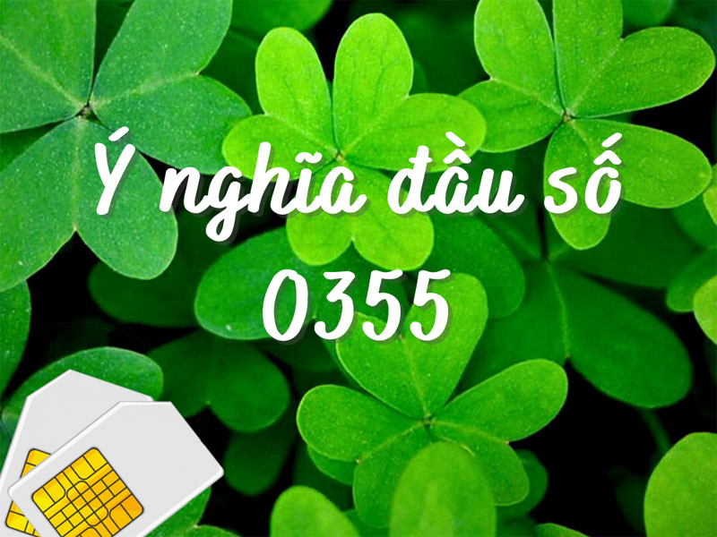 Đầu số 0355 là mạng gì? Ý nghĩa của đầu số 0355? Có phải đầu số đẹp?