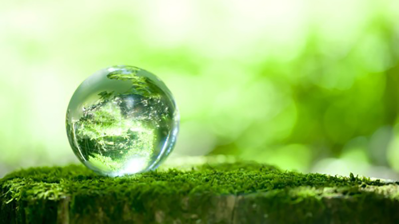 Đầu số 05 là mạng gì? Ý nghĩa của đầu số 05? Có phải đầu số đẹp?