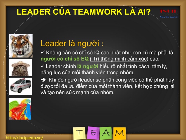 Leader Là Gì? Tìm Hiểu Về Leader Là Gì?