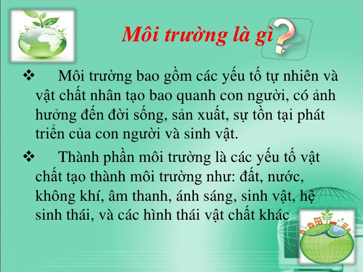 Môi trường là gì? Môi trường tác động gì tới cuộc sống con người?