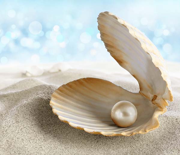 Giá 1 Viên Ngọc Trai tự nhiên THẬT là bao nhiêu tiền?