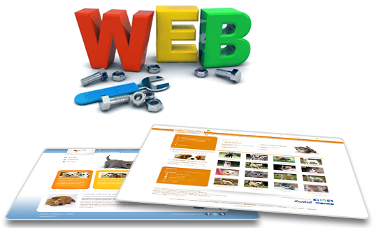 Những điều cần chú ý khi thiết kế web